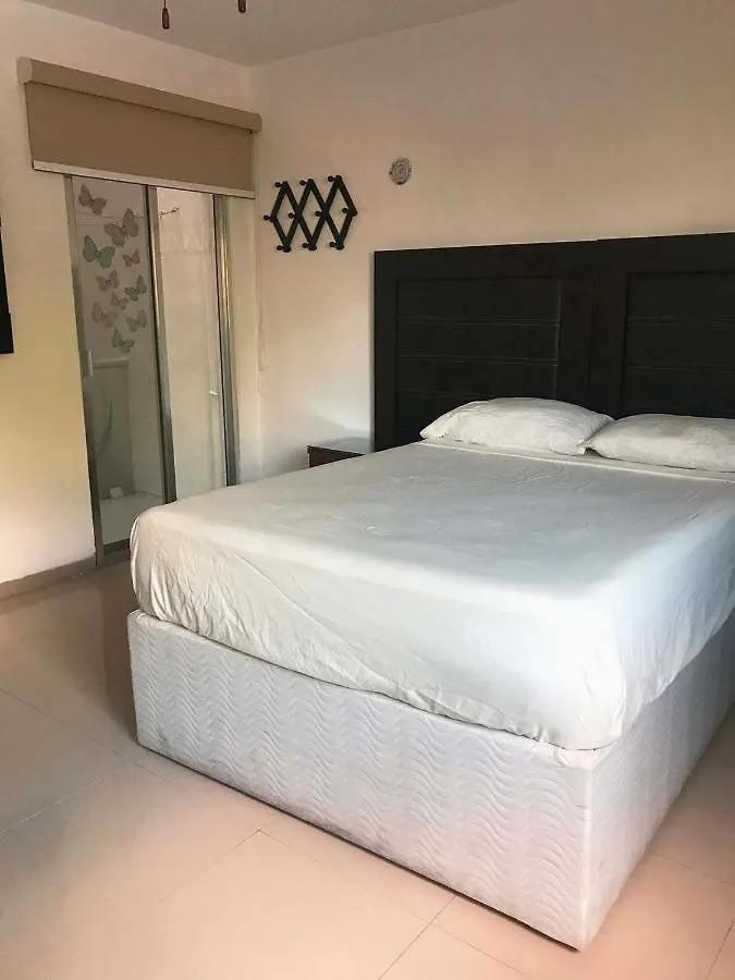 Tu Lugar En Merida